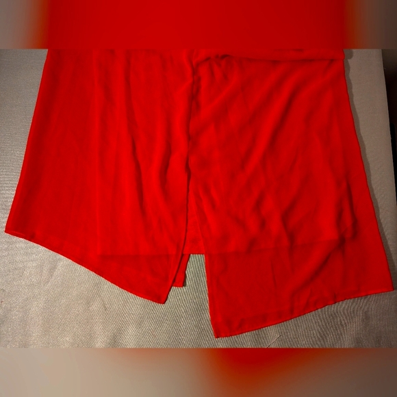 NWOT Catherine Malandrino Red Sheer Dress with Rayon Lining Size Medium - Picture 8 of 8